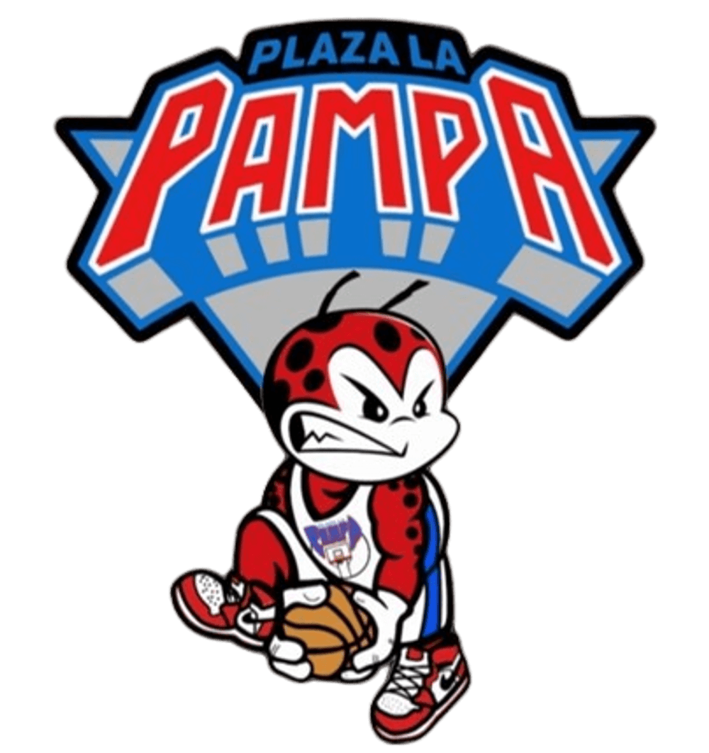 La Pampa Basket